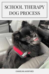 How to get your dog certified as a therapy dog for schools